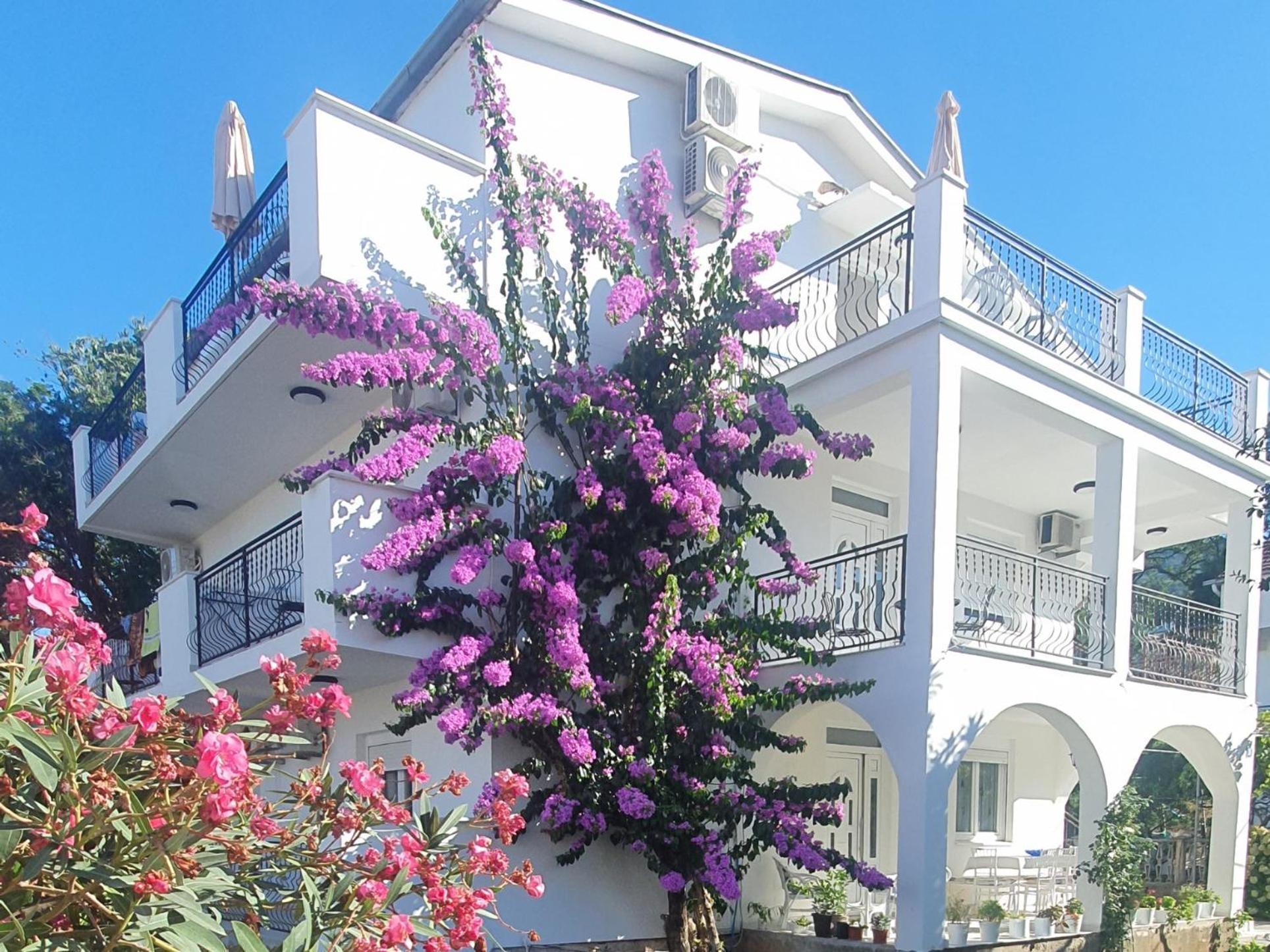 Apartments Prova **** Tivat Luaran gambar